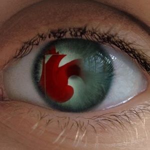 Meet your Posher, Brenda